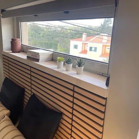 Vila Besthomestay- *